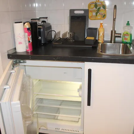 Comfortable On Elbe River *