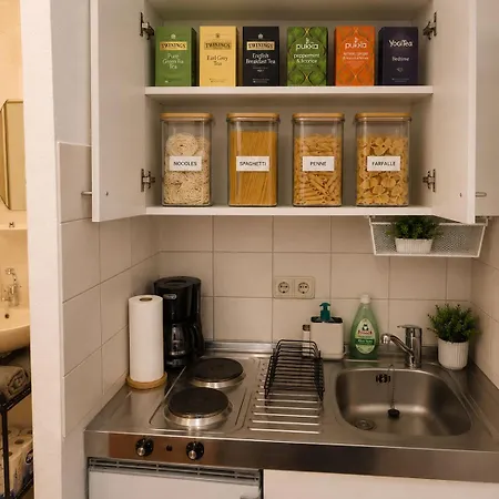 Comfortable On Elbe River Daire Dresden