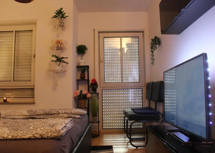 Comfortable On Elbe River *